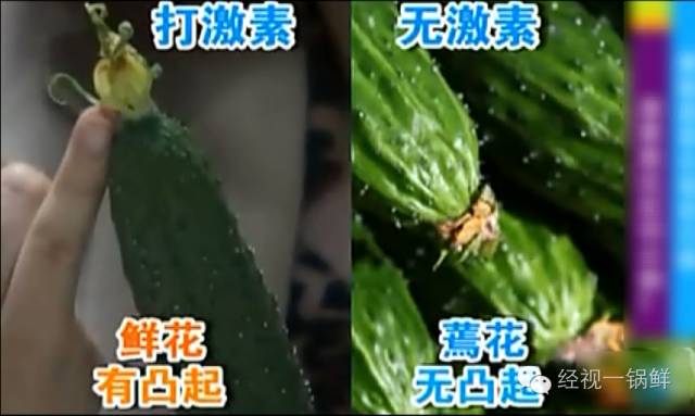 夏季蔬菜農(nóng)藥殘留排行榜 夏季蔬菜農(nóng)藥殘留排行榜