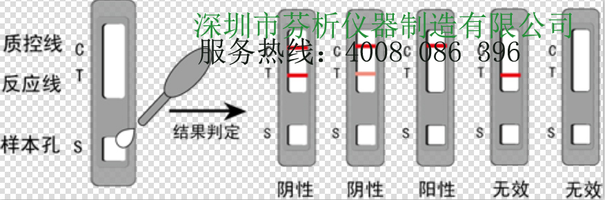 呋喃它酮檢測(cè)卡