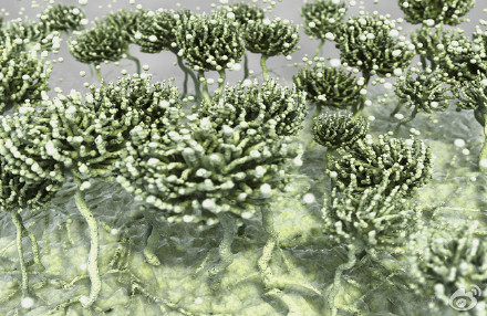 食品安全檢測儀器，水分儀，固含量，肉類水分儀，ATP熒光,農(nóng)藥殘留，藥物殘留.深圳市芬析儀器制造有限公司